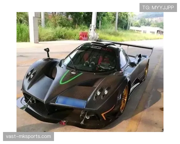 拉菲尼亚训练完顺手买了辆限量超跑，说是为了“代步”